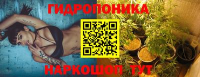 шишки Обь