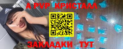 шишки Обь